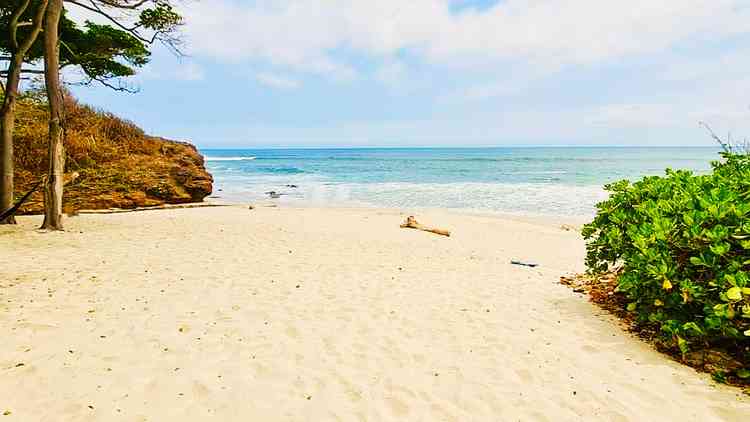 departamento en venta bolongo camino punta de mita km 14  bahia de banderas nayarit plHvPXj